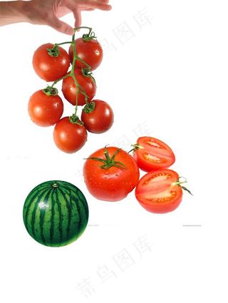 水果蔬菜 苹果 西瓜 西红柿 柚子...