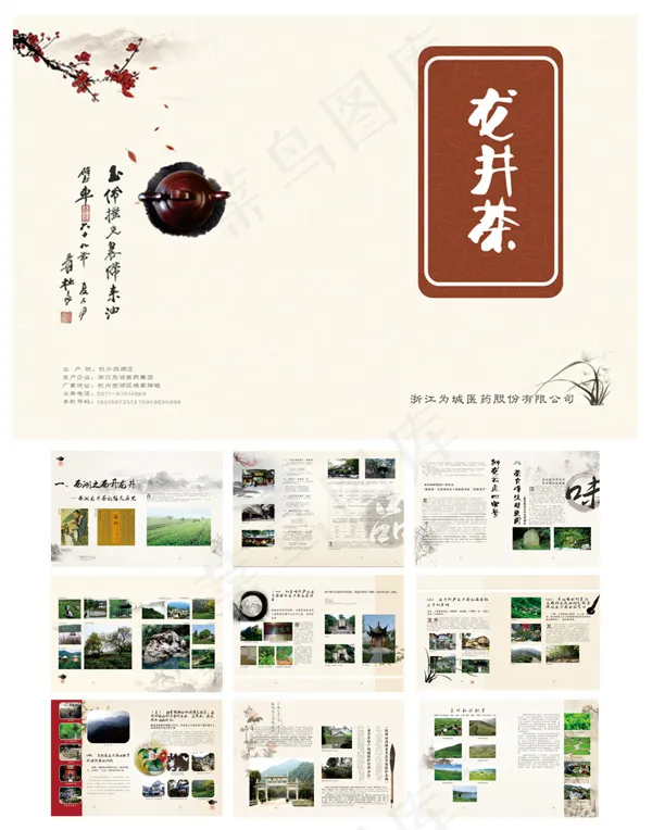 龙井茶宣传画册矢量素材(420X285)cdr矢量模版下载