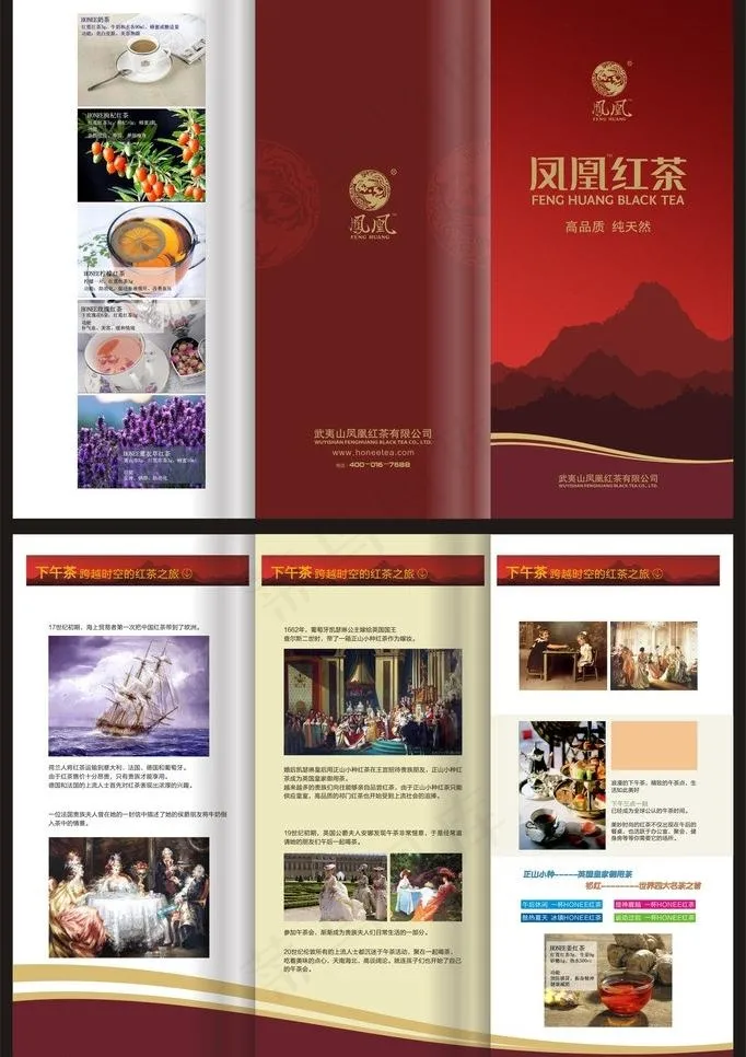 凤凰红茶三折页图片cdr矢量模版下载