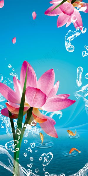 清新荷花玄关背景墙