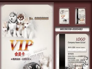 宠物店休闲娱乐会员消费VIP卡