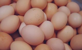 赤皮鸡蛋 散装景观图片