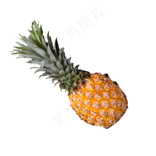 黄色简约风菠萝凤梨免抠元素 