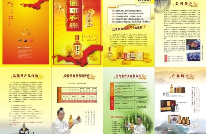 武当功夫酒招商画册图片cdr矢量模版下载