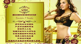 内衣公告图片