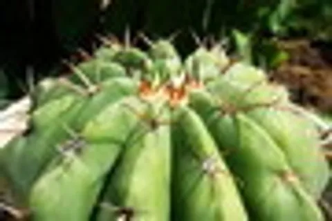 相册展示flash特效