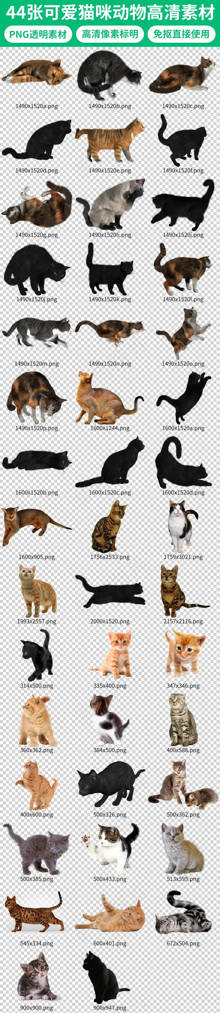 可爱卡通小猫咪宠物动物素材