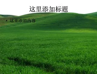 一望无际的绿草地高清PPT模板范...