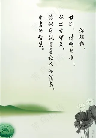 中国风水墨荷花图片