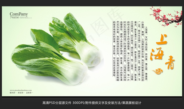 蔬菜展板设计上海青海报招贴广告设计psd模版下载