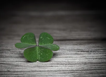 唯美四叶草图片 唯美四叶草图片