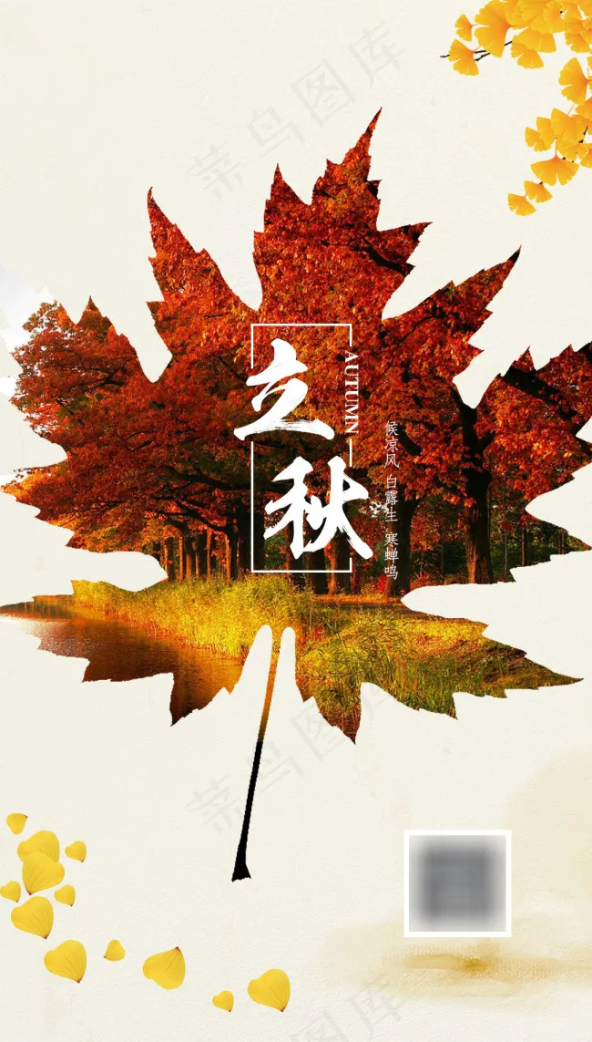 清新节日立秋海报展板(1080X1900(DPI:150))psd模版下载