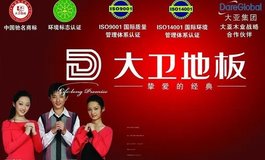 大卫地板电梯广告图片