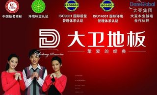 大卫地板电梯广告图片