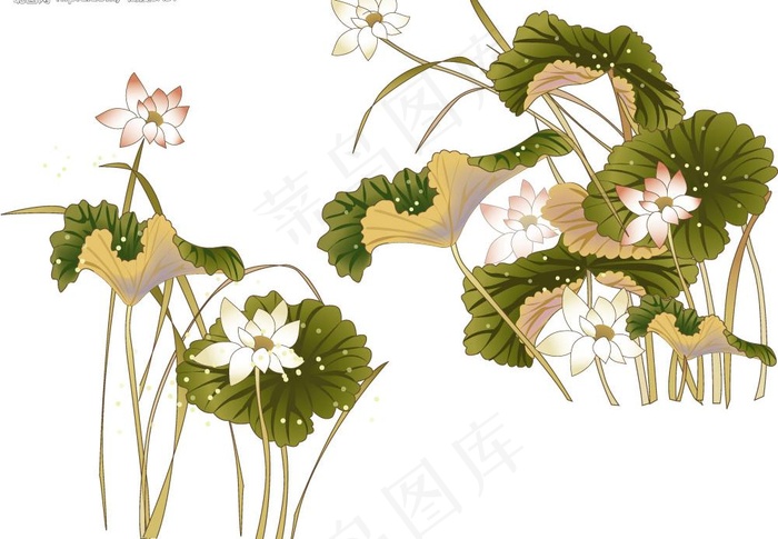 矢量古典荷花图片ai矢量模版下载