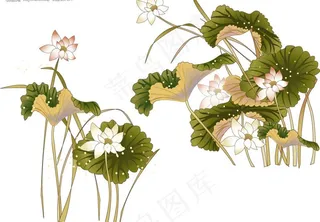 矢量古典荷花图片