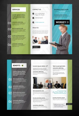 企业画册三折页矢量