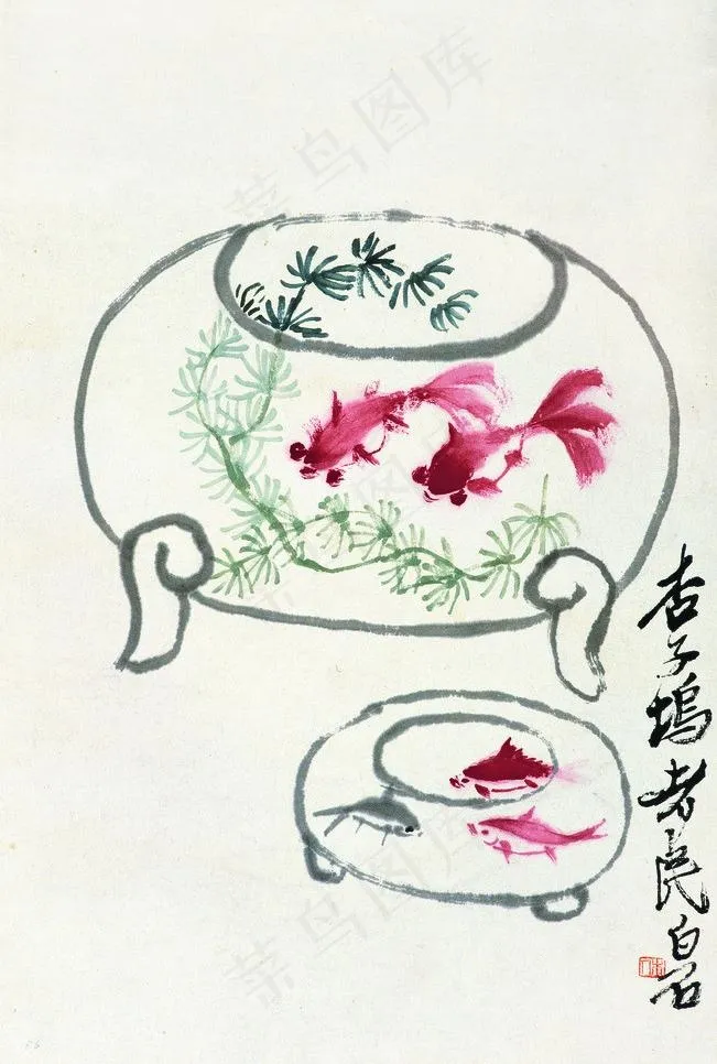 金鱼图片