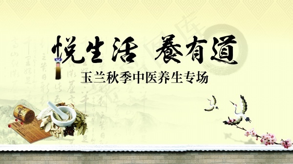 养生专场宣传海报PS素材psd模版下载