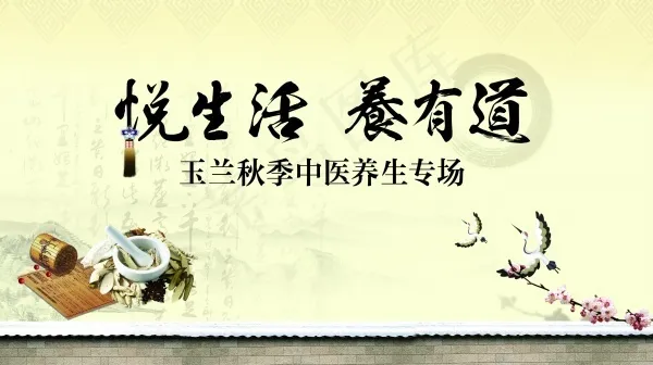 养生专场宣传海报PS素材psd模版下载