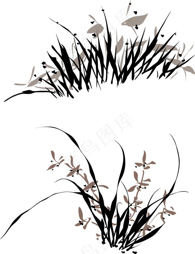 线描兰花ai矢量模版下载