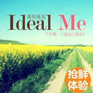 油菜花美丽的和层景色模板海报