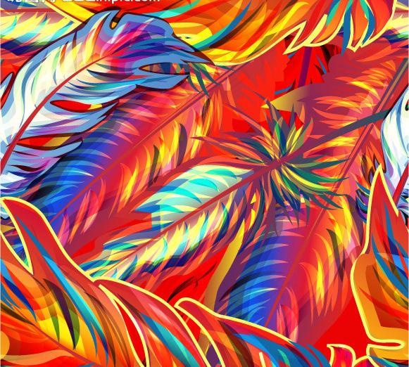 羽毛图片eps,ai矢量模版下载