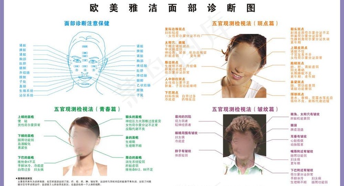 养生面诊穴位图图片