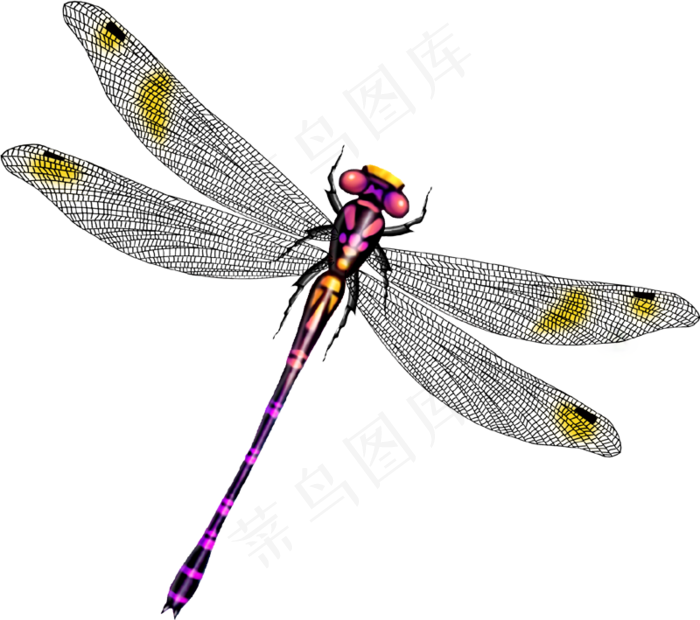 免抠png图片ps素材蜻蜓