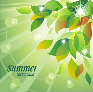 新鲜的夏季花卉背景矢量4幻影 新鲜的夏季花卉背景矢量4幻影