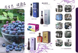 蓝莓饮品三折页图片