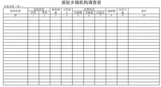 派驻乡镇机构调查表