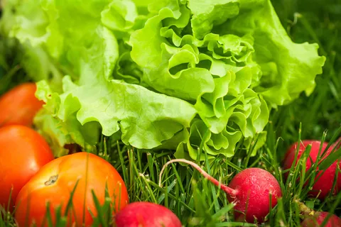 草地上的蔬菜图片