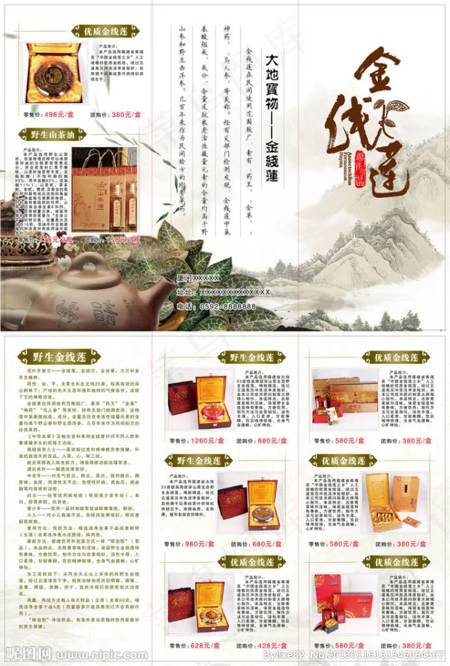 金线莲三折页ai矢量模版下载