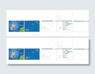 宠物宣传册图片