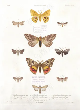 欧式田园装饰画芯