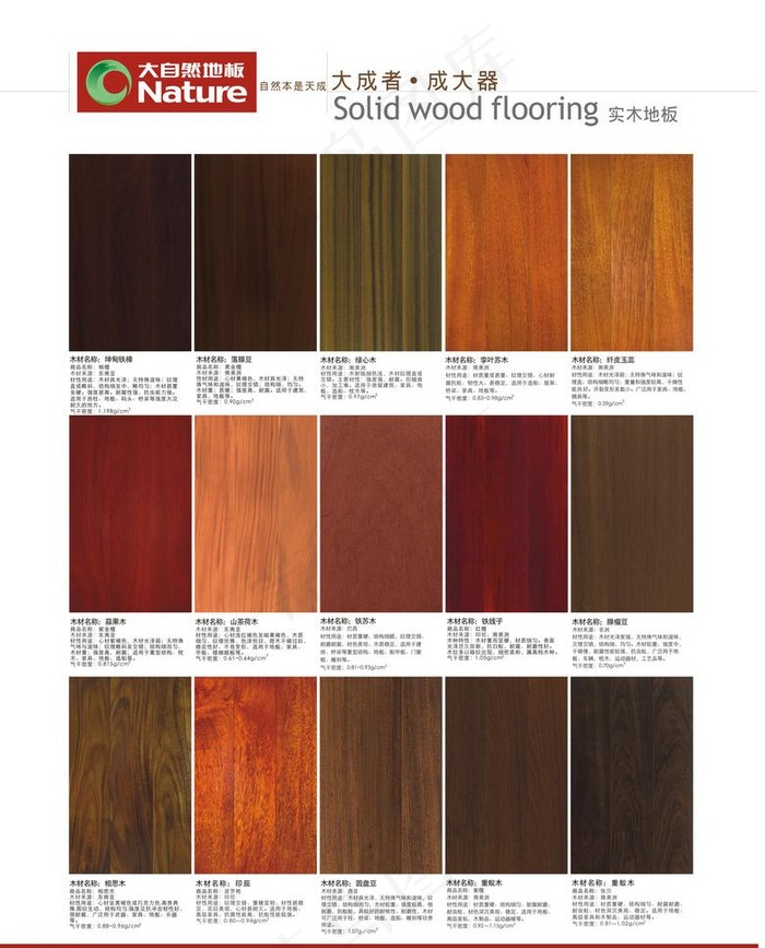 大自然地板宣传单张反面图片
