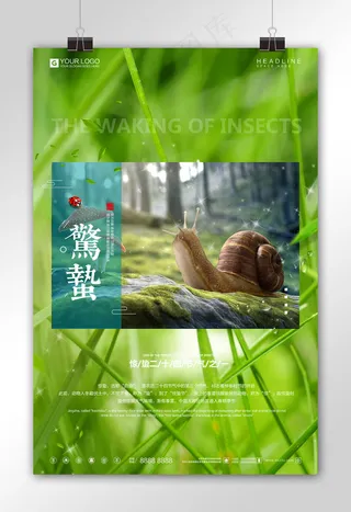 时尚简约惊蛰节气宣传海报设计模板