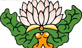 荷花矢量图图片