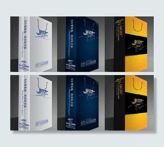 手提袋 手拎袋 环保袋图片