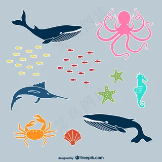 海洋动物