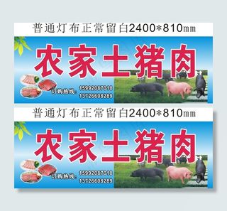农家土猪