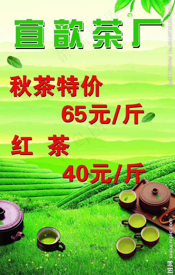 茶厂 茶山图片