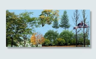 园林景观花草树林鸟瞰透视效果图ps...