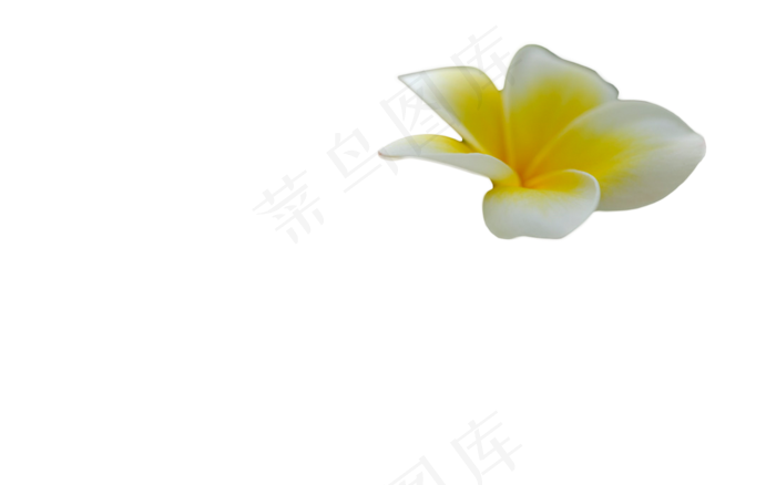 免扣花