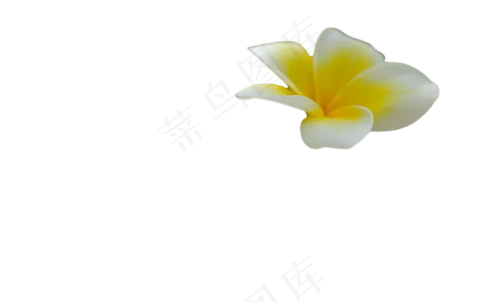 免扣花