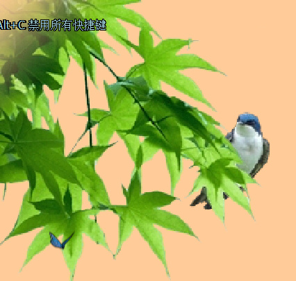 枫叶与小鸟