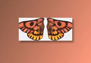 蝴蝶眼镜翅膀美工电商视觉设计免扣素材