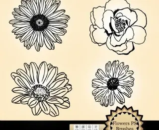 小草笔刷 下载 photoshop笔刷                                                 我爱photoshop