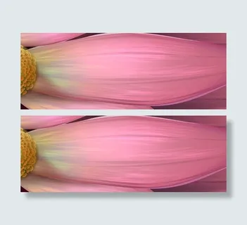 失量花图片免费下载